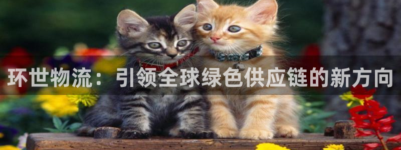 多多28官网下载链接：环世物流：引领