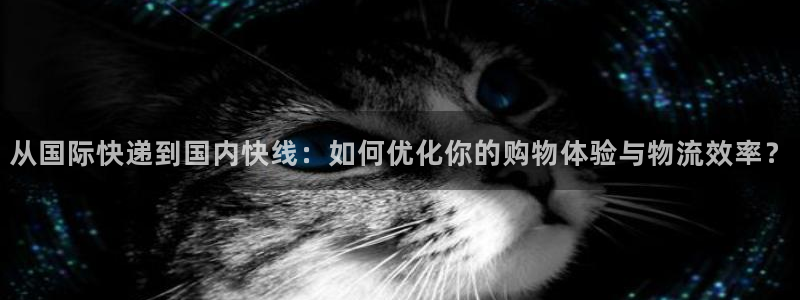 多多28返水怎么算的：从国际快递到国内快线：如何优化你的购物