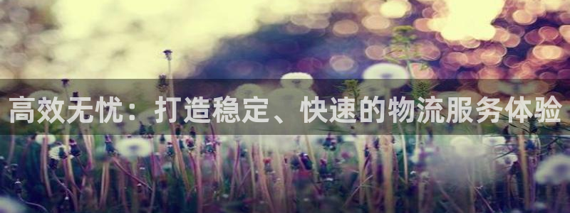 多多28自行车图片大全：高效无忧：打