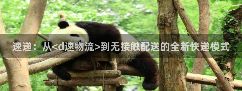 多多28是干嘛的：速递：从<d速物流