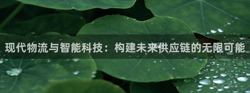 多多28龙虎：现代物流与智能科技：构