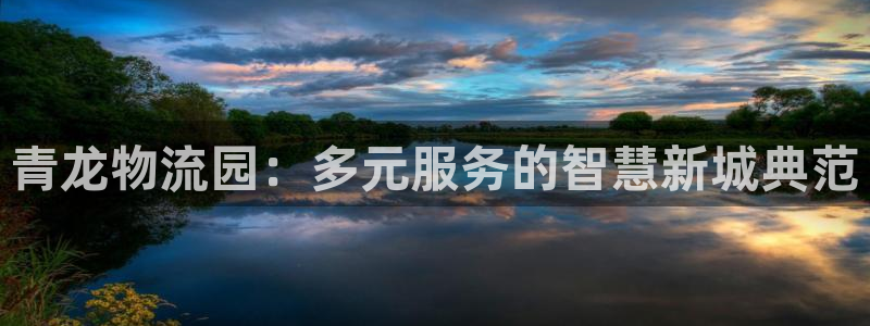 多多28可靠吗：青龙物流园：多元服务