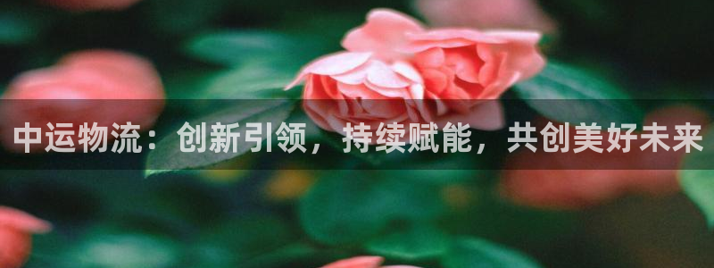 多多28加拿大6.0：中运物流：创新