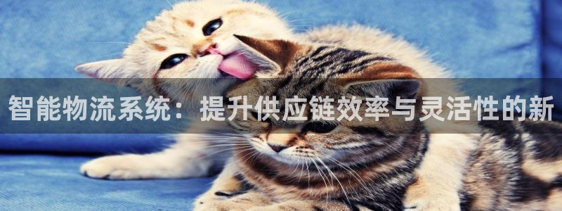 南宫多多28怎么注册：智能物流系统：