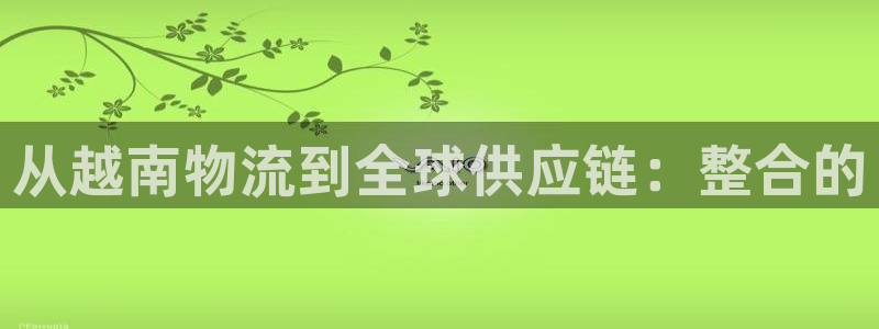 多多28pg麻将胡了：从越南物流到全