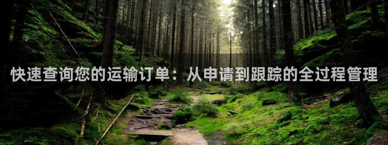 多多28旗下：快速查询您的运输订单：
