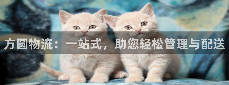 多多28加拿大：方圆物流：一站式，助