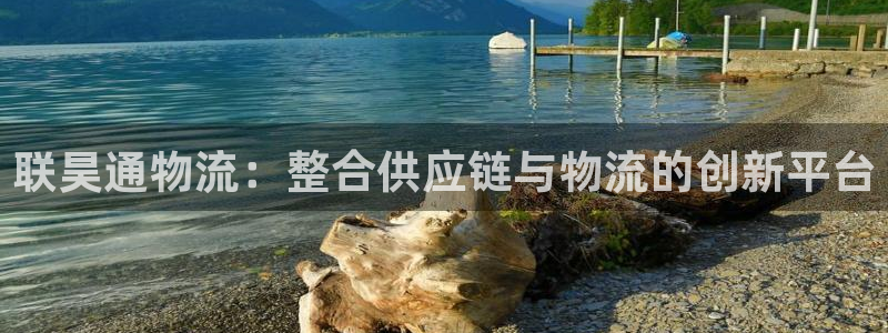 多多28官网版所有版本：联昊通物流：