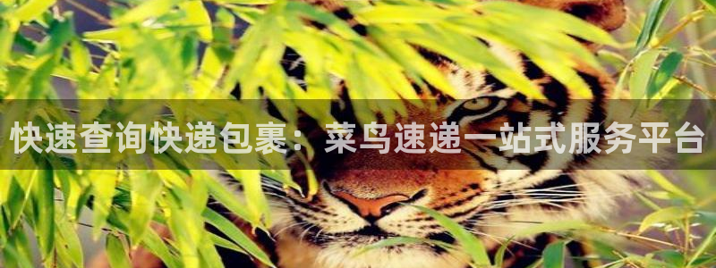 多多28赌博被抓：快速查询快递包裹：