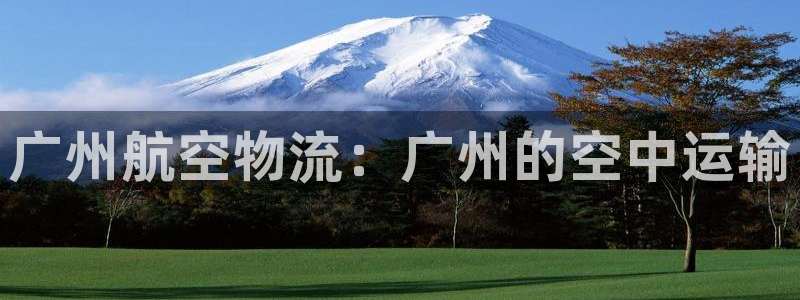 多多28pc预测：广州航空物流：广州