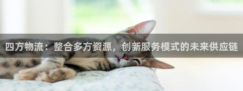多多28注册登录链接：四方物流：整合