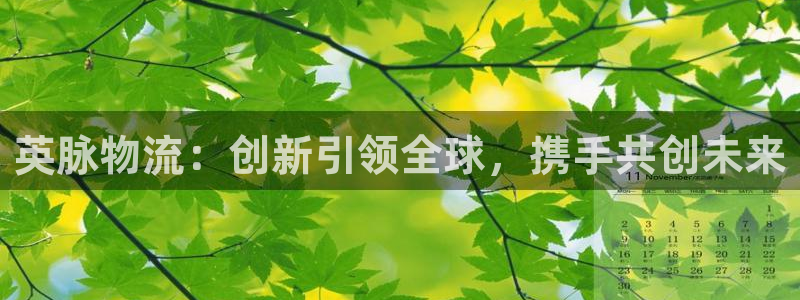 多多28官网平台下载：英脉物流：创新引领全球，携手共创未来