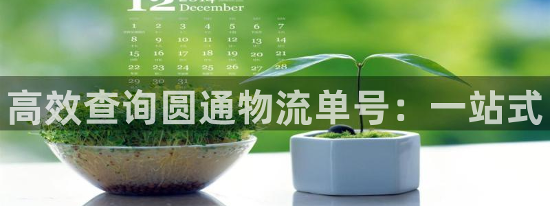 多多28官网版所有版本：高效查询圆通