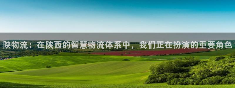 多多28南宫娱乐官网：陕物流：在陕西