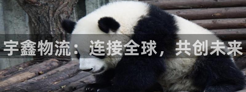 多多28黑平台吗：宇鑫物流：连接全球