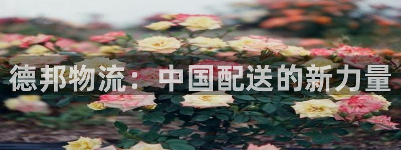 多多28下载二维码怎么弄：德邦物流：