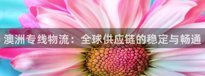 多多28注册平台：澳洲专线物流：全球