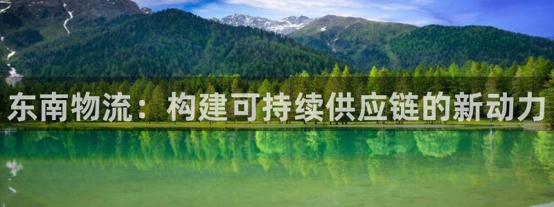 多多28官网入口app：东南物流：构
