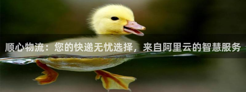 多多28返水怎么算的：顺心物流：您的