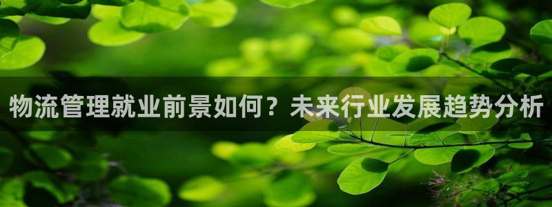 多多28软件：物流管理就业前景如何？