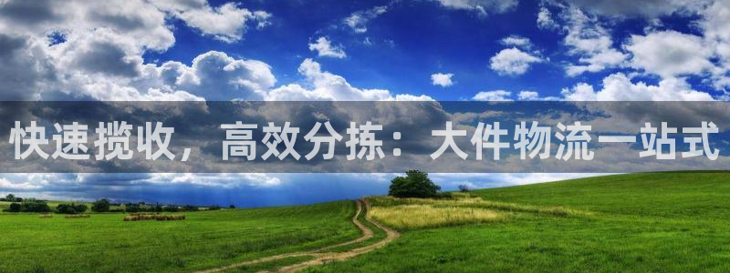 多多28官网下载链接是什么网站：快速