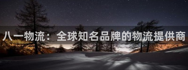 多多28的自行车：八一物流：全球知名