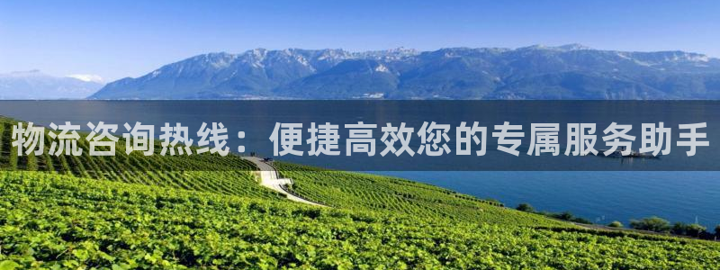 多多28模拟器下载:物流咨询热线:便