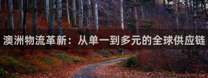多多28反水什么时候到：澳洲物流革新：从单一到多元的全球供应