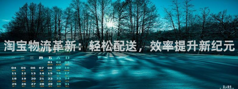 多多28注册平台：淘宝物流革新：轻松
