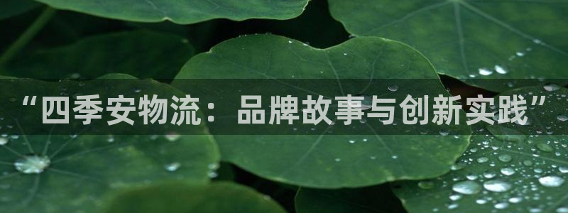 多多28注册网址：“四季安物流：品牌故事与创新实践”