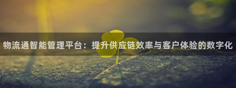 多多28女王中奖记录查询：物流通智能