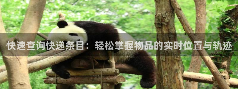 多多28怎么注册