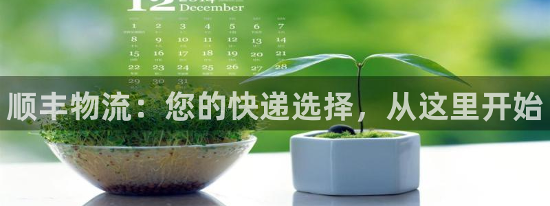 多多28推广链接是多少：顺丰物流：您