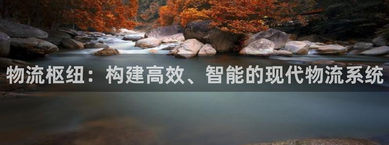 多多28初始资金密码在哪里改：物流枢