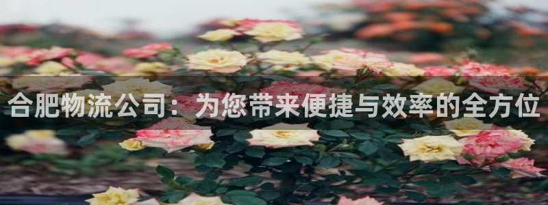 多多28ccm官网版