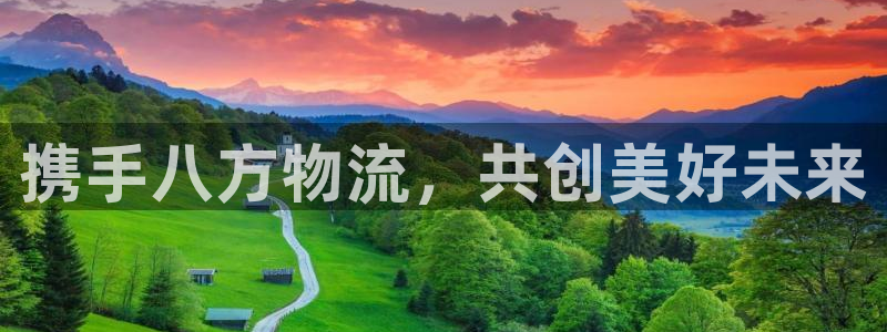 多多28能赢钱吗：携手八方物流，共创美好未来